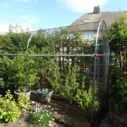Gardening Naturally Domed Walk In Fruit Cage Black Bird Netting - 6M Long - thumbnail 4
