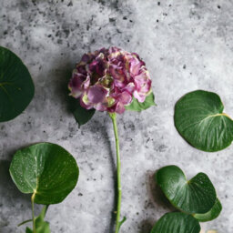Artificial Silk Hydrangea Stem, Antique Purple. H42 Cm. - thumbnail 1