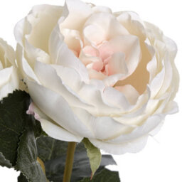 Wyld Haus Set Of 3 White Garden Rose Spray Stems 680mm Artificial Flowers - thumbnail 3