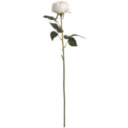 Wyld Haus Set Of 3 White Garden Rose Spray Stems 680mm Artificial Flowers - thumbnail 1