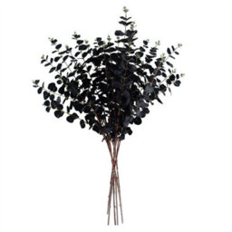 Leaf Pack Of 6 X 80Cm Black Eucalyptus Foliage Stem - thumbnail 2