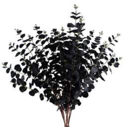 Leaf Pack Of 6 X 80Cm Black Eucalyptus Foliage Stem