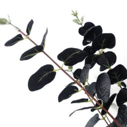 Leaf Pack Of 6 X 80Cm Black Eucalyptus Foliage Stem - thumbnail 4
