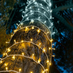 Christmas Tree World Crownvine 30M Fairy Lights Starter Set - 300 Leds Warm White - White Rubber Cable - thumbnail 1