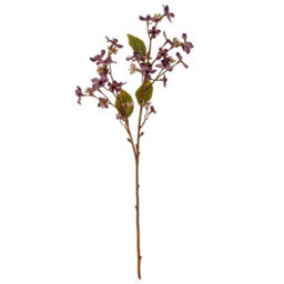 Wyld Haus Set Of 3 Purple Vernicia Fordii Artificial Flower Sprays