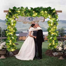 10M Led Maple Leaf String Lights For Home Wedding Patio Christmas Deco Green Leaf  Rattan R - thumbnail 2