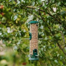 Peckish Plastic & Steel Seed Green All Weather Bird Feeder 0.7L - thumbnail 2