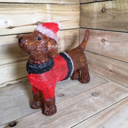 Samuel Alexander 36Cm Indoor Outdoor Acrylic Dachshund Christmas Decoration With 48 Ice White Leds - thumbnail 6