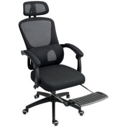 Mesh Ergonomic Office Chair With Lumbar Support, Headrest, Black - thumbnail 1
