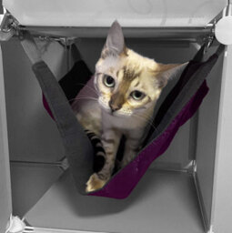 B2C Cat Activity Cubby Cube Play House Tower S M L Climbing Scratcher Hammock Maxi - thumbnail 5