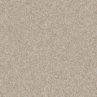 Furlong Flooring Veneto Deep Pile Carpet (Flax, 4M X 5M)