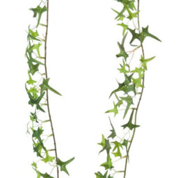 Hill Interiors Uk Homeliving Small Ivy Garland - thumbnail 2