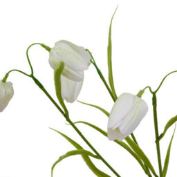 Hill Interiors The Natural Garden Collection Fritillaria Stem Artificial Flower White (One Size) - thumbnail 3