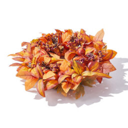 Thehotsale 50Cm Dia Round Wreath Halloween Maple Leaf Berry Wreath Artificial Wreath - thumbnail 3