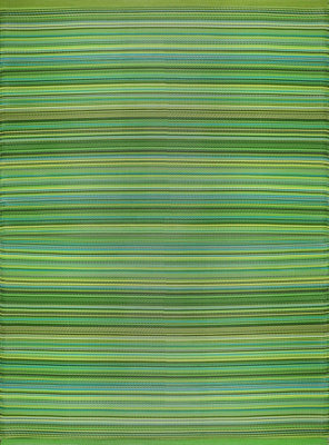 The Rugs Reversible Waterproof Outdoor Rugs Rainbow 1020 Green - image 1