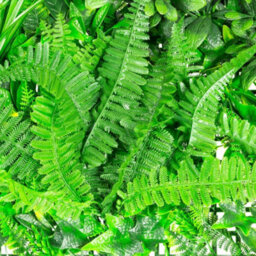 Primrose Artificial Mixed Plants Green Garden Wall Patio Hedge Panel 1M X 1M - thumbnail 6