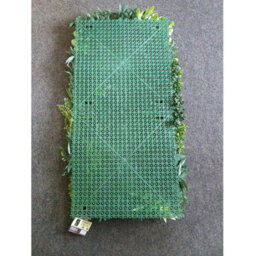 True Products Premium Artificial Green Plant Living Wall Panel 1M X 50Cm - Florence B - thumbnail 5