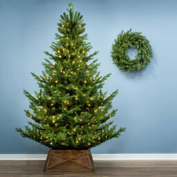 Christmas Tree World The 7Ft/210Cm Pre-Lit Ultra Mountain Pine - thumbnail 2