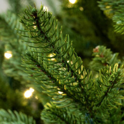 Christmas Tree World The 7Ft/210Cm Pre-Lit Ultra Mountain Pine - thumbnail 5
