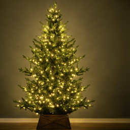 Christmas Tree World The 7Ft/210Cm Pre-Lit Ultra Mountain Pine - thumbnail 3