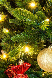 Christmas Tree World The 7Ft/210Cm Pre-Lit Ultra Mountain Pine - thumbnail 9