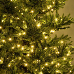 Christmas Tree World The 7Ft/210Cm Pre-Lit Ultra Mountain Pine - thumbnail 4