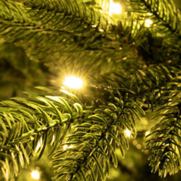Christmas Tree World The 7Ft/210Cm Pre-Lit Ultra Mountain Pine - thumbnail 7