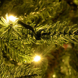 Christmas Tree World The 7Ft/210Cm Pre-Lit Ultra Mountain Pine - thumbnail 8