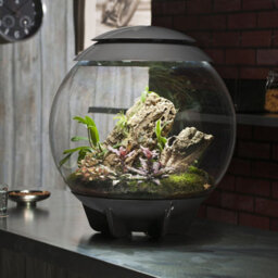 Oase Biorbair 60 Litre Automatic Terrarium In Grey With Led Lighting - thumbnail 8