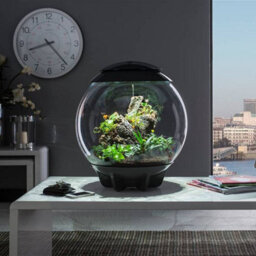 Oase Biorbair 60 Litre Automatic Terrarium In Grey With Led Lighting - thumbnail 4