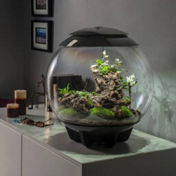 Oase Biorbair 60 Litre Automatic Terrarium In Grey With Led Lighting - thumbnail 6
