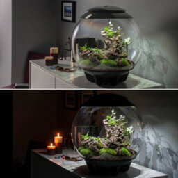 Oase Biorbair 60 Litre Automatic Terrarium In Grey With Led Lighting - thumbnail 7