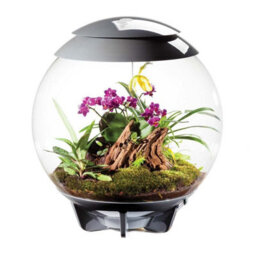 Oase Biorbair 60 Litre Automatic Terrarium In Grey With Led Lighting - thumbnail 2