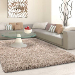 Prime Plus Extra Thick Heavy 5Cm Pile Soft Shaggy Rugs Modern Area Rugs Bedroom Hall Rugs (Light Beige, 80 X 150Cm)
