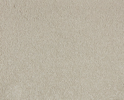 Soft Perfection Luxury Carpet By Remland (Hemp, 3M X 4M) - image 1