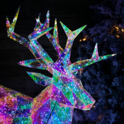 Samuel Alexander 90Cm Light Up Indoor Outdoor Dreamlights Christmas Stag With 500 White Leds - thumbnail 5