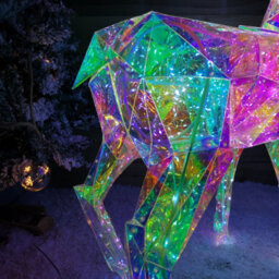 Samuel Alexander 90Cm Light Up Indoor Outdoor Dreamlights Christmas Stag With 500 White Leds - thumbnail 9