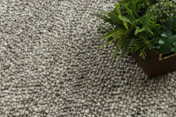 RugsX Wool Carpet Tahar 99005 Anthracite - Hand-Woven Loop, Melange  200X290 Cm - thumbnail 5