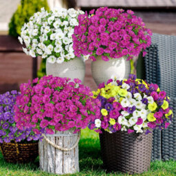 10 Pack Uv Resistant Outdoor Artificial Flowers, Fake Flower Bouquets, Artificial Plants For Outdoor And Indoor Use (Fuchsia) - thumbnail 5