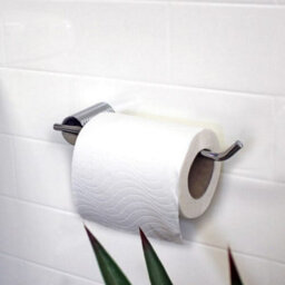 Showerdrape Vitality Chrome Stainless Steel Wall Mounted Toilet Roll Holder - thumbnail 3