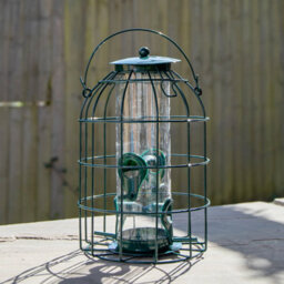 Metal Hanging Bird Seed Feeder With Squirrel Guard , Outdoor Garden Bird Feeder - thumbnail 4