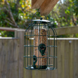 Metal Hanging Bird Seed Feeder With Squirrel Guard , Outdoor Garden Bird Feeder - thumbnail 1
