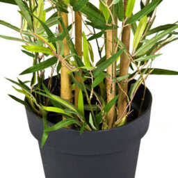 GreenBrokers Artificial 150Cm Bamboo Tree In Pot - thumbnail 4
