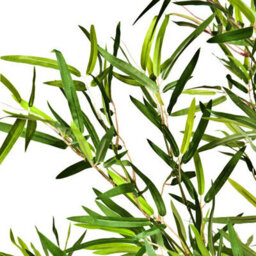 GreenBrokers Artificial 150Cm Bamboo Tree In Pot - thumbnail 3