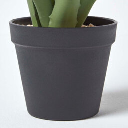 Homescapes Artificial Green Handcrafted Aloe Vera Succulent In Black Pot, 30 Cm - thumbnail 5