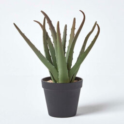 Homescapes Artificial Green Handcrafted Aloe Vera Succulent In Black Pot, 30 Cm - thumbnail 7