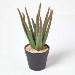 Homescapes Artificial Green Handcrafted Aloe Vera Succulent In Black Pot, 30 Cm