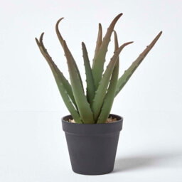 Homescapes Artificial Green Handcrafted Aloe Vera Succulent In Black Pot, 30 Cm - thumbnail 3