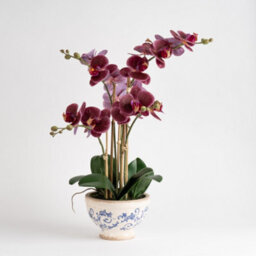 Scottish Everlastings Ltd. Scottish Everlastings 54Cm Real Touch Artificial Dark Pink Phalaenopsis Orchid In Pot - thumbnail 2