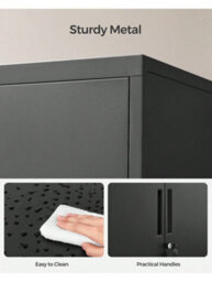 LEDREM File Cabinet, Multipurpose Garage Cabinet, Office Cabinet With 2 Doors, Lockable Cabinet, Steel Storage Cabinet - thumbnail 3